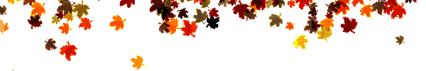 falling-autumn-leaves-divider.gif